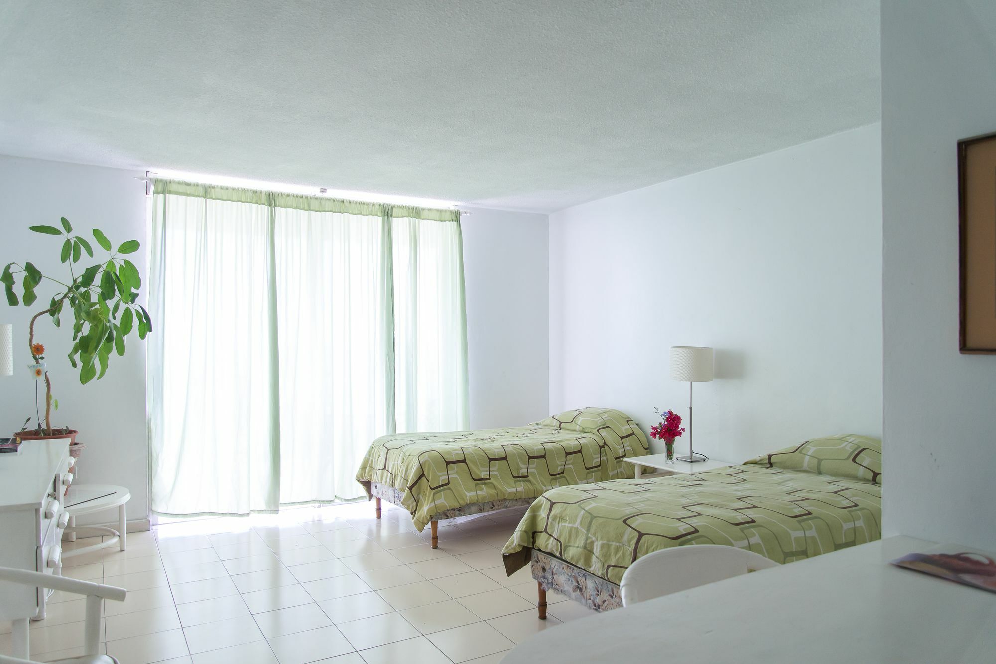 Montego Bay Club Apartments Exterior photo